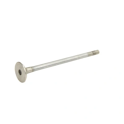 Abbildung von Auslassventil FRECCIA R6791/BMCR