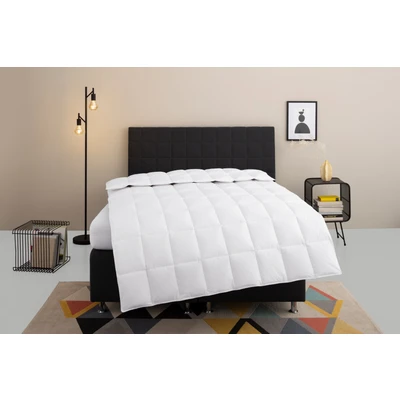 Abbildung von my home Daunenbettdecke &quot;Nobyn, Bettdecke 135x200 cm, 155x220 cm und weiteren Größen&quot;, normal, Füllung 60% Daunen 40&amp; Federn, Bezug 100% Baumwolle, (1 St.), Bettdecken, Sommer, Winter