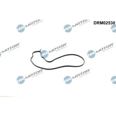 Abbildung von Dichtung, Wasserpumpe Dr.Motor Automotive DRM02530