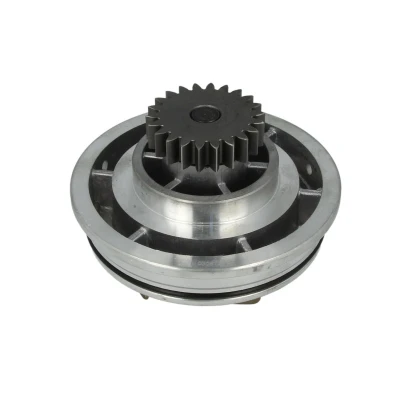 Abbildung von DOLZ R611 Wasserpumpe