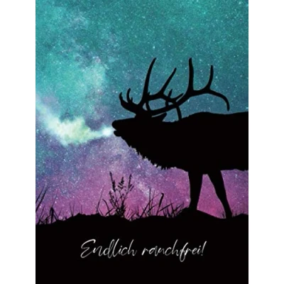 Abbildung von ENDLICH RAUCHFREI: Ein Tagebuch für Raucher, die JETZT mit dem Rauchen aufhören möchten 28 Tage Challenge, Beginnend Tag 1 inkl. Motivationstexten (Themenbücher Nichtraucher, Band 1)