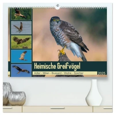 Abbildung von Heimische GREIFVÖGEL Adler Milan Bussard Weihe Sperber (hochwertiger Premium Wandkalender 2025 DIN A2 quer), Kunstdruck in Hochglanz