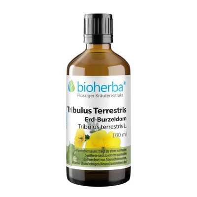 Abbildung von Tribulus Terrestris (erdburzeldorn) 100 ml