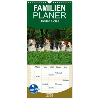Abbildung von Familienplaner 2025 Border Collie mit 5 Spalten (Wandkalender, 21 cm x 45 cm), CALVENDO