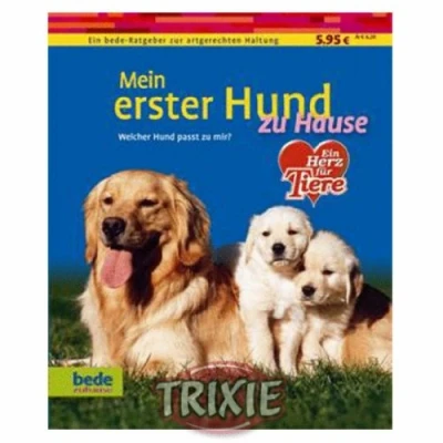 Abbildung von Mein erster Hund zu Hause: Welcher passt mir?