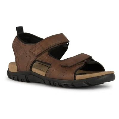Abbildung von Geox U Strada Trekkingsandale, Herren, Größe: 39, Dark brown Schuhe