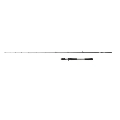 Abbildung von Abu Garcia Beast X Jerkbait Casting Rod, Süßwasserangler Angeln Hecht &amp; Zander, Starkes Leichtgewicht vielseitig einsetzbar, grün, 1.98m Extra schnelle beidhändige Rute