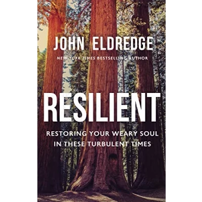 Abbildung von Resilient: Restoring Your Weary Soul in These Turbulent Times