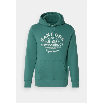 Abbildung von GANT Graphic Hoodie Sweatshirt, Herren, Größe: Small, Green