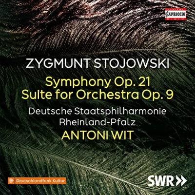 Abbildung von Sinfonie d Moll op. 21