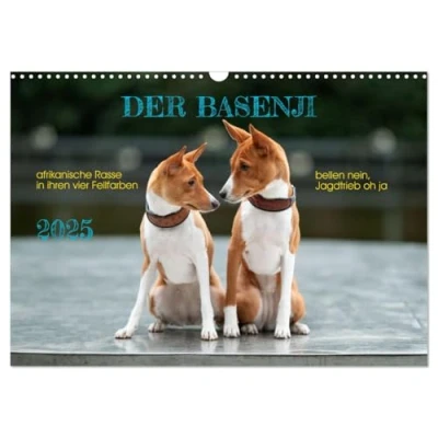 Abbildung von Der Basenji (Wandkalender 2025 DIN A3 quer), CALVENDO Monatskalender