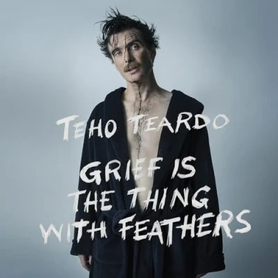 Abbildung von Grief Is A Thing With Feathers