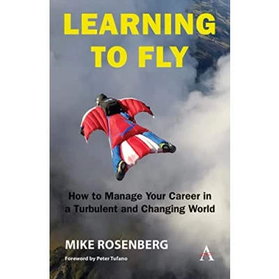 Abbildung von Learning to Fly: How Manage Your Career in a Turbulent and Changing World