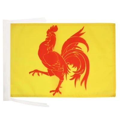 Abbildung von AZ FLAG Flagge Wallonie 45x30 Cm Mit Kordel Wallonische Region Fahne 30 x 45 Flaggen