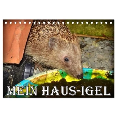Abbildung von Mein Haus Igel (Tischkalender 2025 DIN A5 quer), CALVENDO Monatskalender