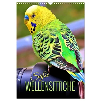 Abbildung von Süße Wellensittiche (Wandkalender 2025 DIN A3 hoch), CALVENDO Monatskalender