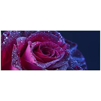 Abbildung von Wallario Wandbild aus Acryl, 50 x 125 cm, freischwebende Optik Rote Rosenblüte im Regen