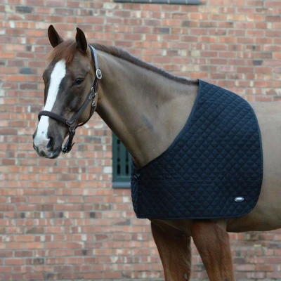 Abbildung von Weatherbeeta Shoulder Guard Deluxe Schwarz Vollblut