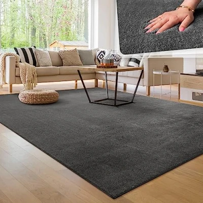 Abbildung von Paco Home Moderner Kuscheliger Wohnzimmer Teppich Kurzflor waschbar flauschig Weich Einfarbig Felloptik zeitlos stilvoll rutschfest pflegeleicht, Grösse:120x170 cm, Farbe:Anthrazit