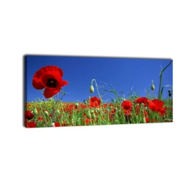 Abbildung von wandmotiv24 Leinwandbild Panorama Nr. 22 Mohnblumenwiese 100x40cm, Keilrahmenbild, Bild auf Leinwand, Kunstdruck Wiese Mohn Feld