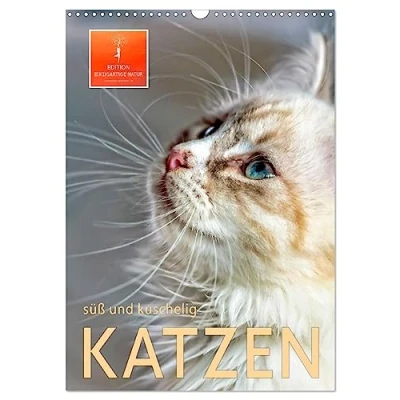 Abbildung von Katzen süß und kuschelig (Wandkalender 2025 DIN A3 hoch), CALVENDO Monatskalender