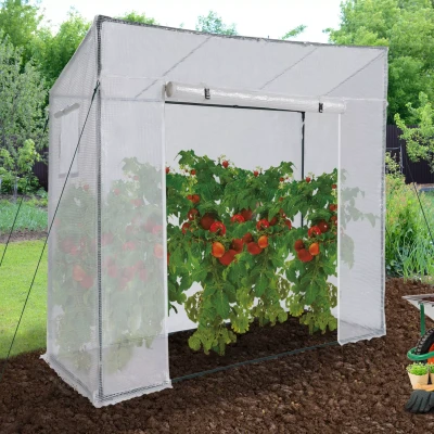 Abbildung von IDMarket Gartengewächshaus mit 2 Fenstern, Tür Reißverschluss, Tomatenhaus und Wintergewächshaus