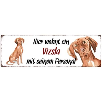 Abbildung von Interluxe Metallschild Hier wohnt EIN Vizsla dekoratives Schild, Türschild, Blechschild als Geschenk für Menschen mit Hund