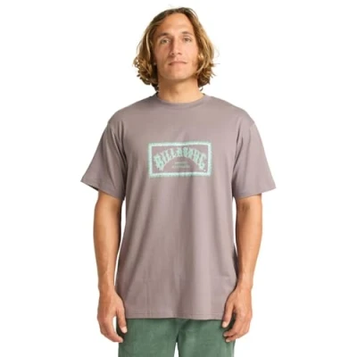 Abbildung von Billabong T Shirt, kurzärmlig, Arch Frame SS, Grau, XXL