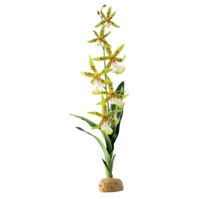 Abbildung von Exo Terra Terrariendeko Terrarien Pflanze Spinnen Orchidee