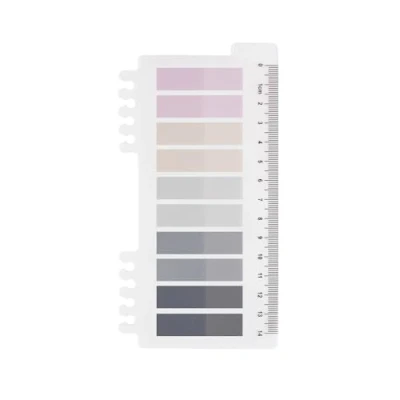 Abbildung von 200 Stück Haftnotizen Tabs, Gray Stile Pagemarker Selbstklebend Pastell Beschreibbare Haftstreifen Klebezettel mit Lineal für Seitenmarkierung Lesezeichen (A Winter&#039;s Frost)