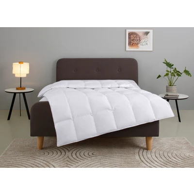 Abbildung von Home affaire Daunenbettdecke &quot;Litrone, Bettdecke 135x200 cm, 155x220 200x200 240x220 cm&quot;, leicht, Füllung 100% Gänsedaunen, Bezug Baumwolle, (1 St.), Bettdecken, Sommer, Winter, Ganzjahresdecke, Decke, Made in Germany