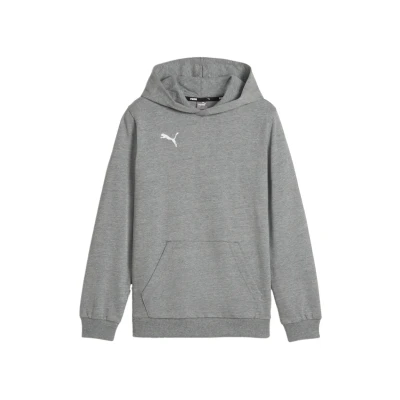 Abbildung von Puma Teamgoal Kapuzenpullover für Kinder, Größe: 140, Grauweiss