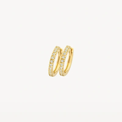 Abbildung von Ohrringe 7307YZI 585er Gelbgold mit Zirkonia