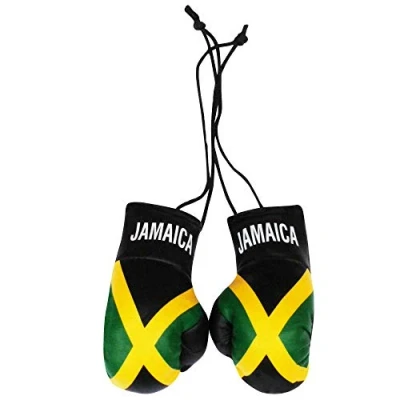 Abbildung von Jamaica n Flag Mini Boxhandschuhe fürs Auto oder Zuhause