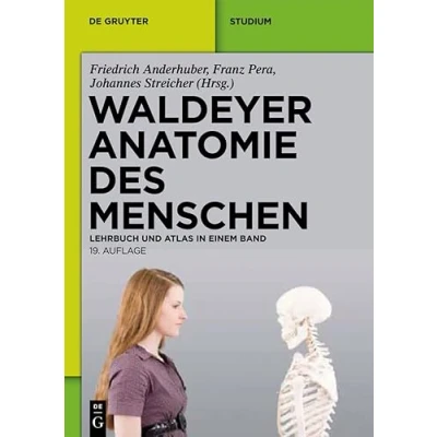 Abbildung von Waldeyer Anatomie des Menschen: Lehrbuch und Atlas in einem Band (De Gruyter Studium)