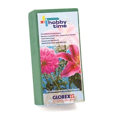 Abbildung von Glorex Bastelnaturmaterial Steckschaum für Frischblumen