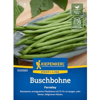 Abbildung von Kiepenkerl Profi Line Buschbohnensamen Faraday 1000980 Gemüsesamen für eine resistente Filetbohne mit 13 bis 14 cm langen Hülsen und Inhalt 8 10 lfd. Meter
