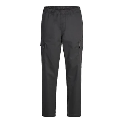 Abbildung von Jack &amp; Jones Jpstbill Jjsnap Jogger AKM CBO Cargohose, Herren, Größe: XL, Asphalt