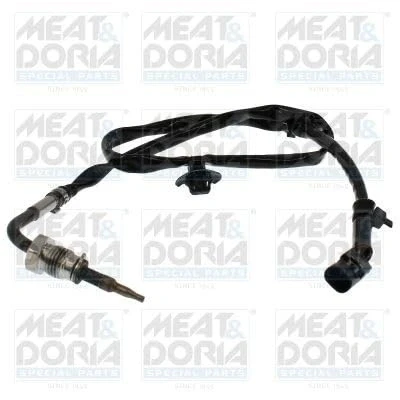 Abbildung von Sensor, Abgastemperatur MEAT &amp; DORIA 12824