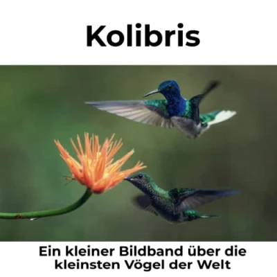 Abbildung von Kolibris: Ein kleiner Bildband über die kleinsten Vögel der Welt
