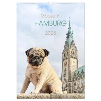 Abbildung von Möpse in Hamburg (Wandkalender 2025 DIN A3 hoch), CALVENDO Monatskalender