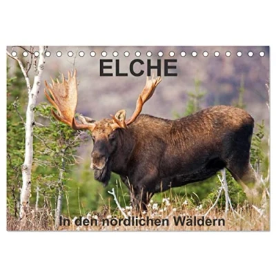 Abbildung von ELCHE In den nördlichen Wäldern (Tischkalender 2025 DIN A5 quer), CALVENDO Monatskalender