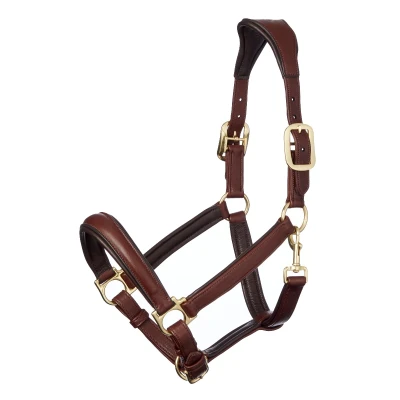 Abbildung von LeMieux Halfter Anatomisches Leder Braun Warmblut