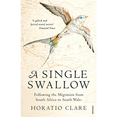 Abbildung von A Single Swallow: Following An Epic Journey From South Africa To Wales