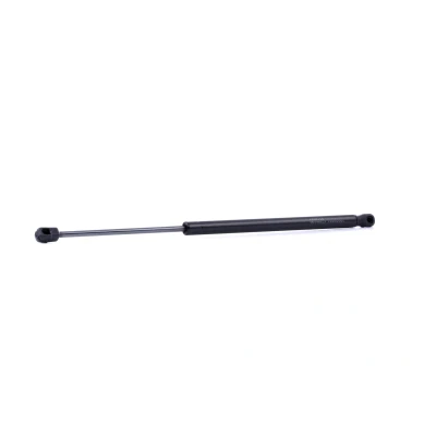 Abbildung von RIDEX 219G1055 Heckklappendämpfer 425 483 MINI: Schrägheck