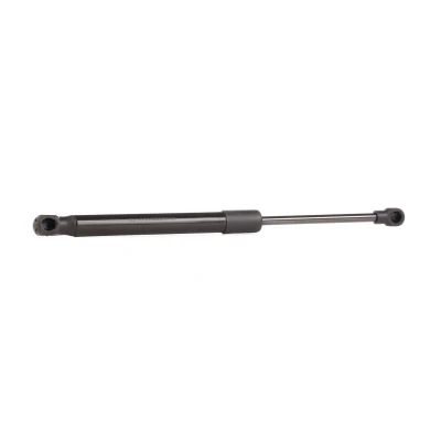 Abbildung von RIDEX 219G0550 Heckklappendämpfer 370 317 beidseitig