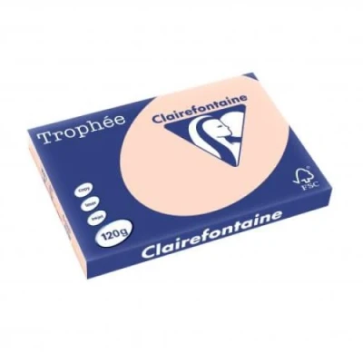 Abbildung von 5 x Clairefontaine Kopierpapier Trophee A3 120g/qm VE=250 Blatt lachs