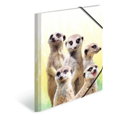 Abbildung von HERMA 19961 Sammelmappe A4 Exotische Tiere Erdmännchentruppe, Kinder Eckspanner Mappe aus Kunststoff mit Innendruck &amp; Gummizug, stabile Einschlagmappe Plastik für Jungen Mädchen