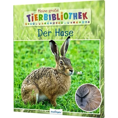 Abbildung von Meine große Tierbibliothek: Der Hase: Sachbuch für Vorschule &amp; Grundschule