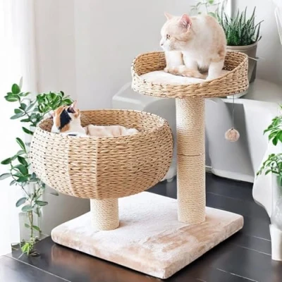 Abbildung von Liszton Kratzbaum Banana Leaf mit Natur Sisal Kletterbaum für Katzen